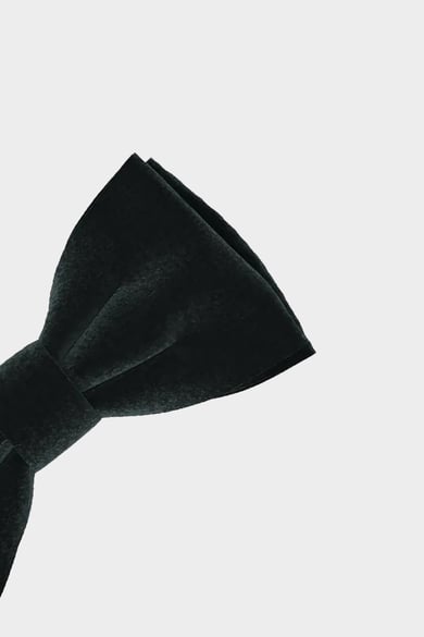 ΠΑΠΙΟΝ BOSS - 385